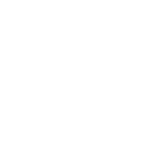 BSC Logo M