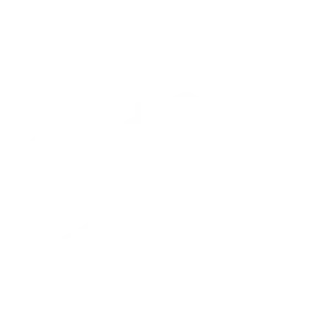 Shahi Movers Logo M